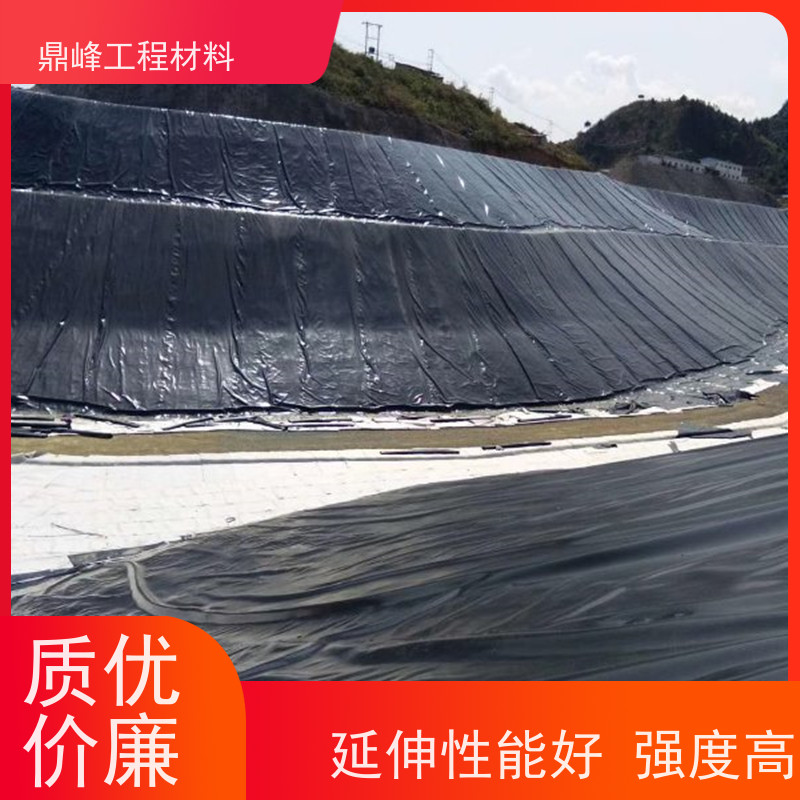 鼎峰 进口hdpe土工膜 抗低温 增强土壤结构提升肥力
