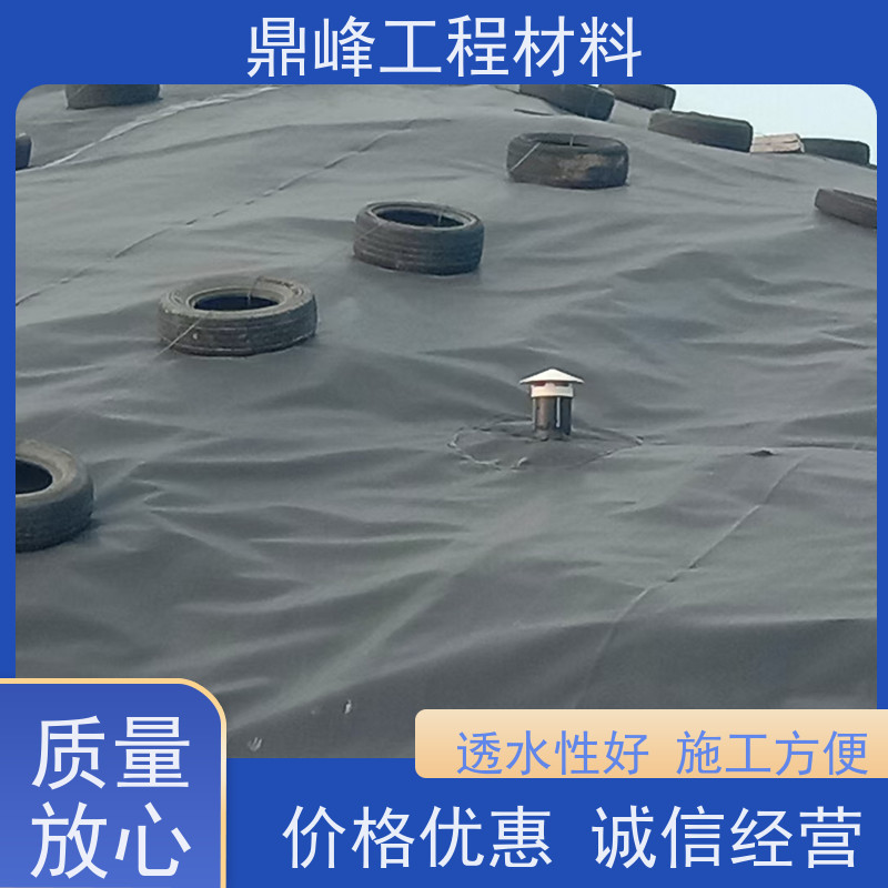 鼎峰 HDPE2.0mm尾矿库防渗土工膜 防渗隔离性能好