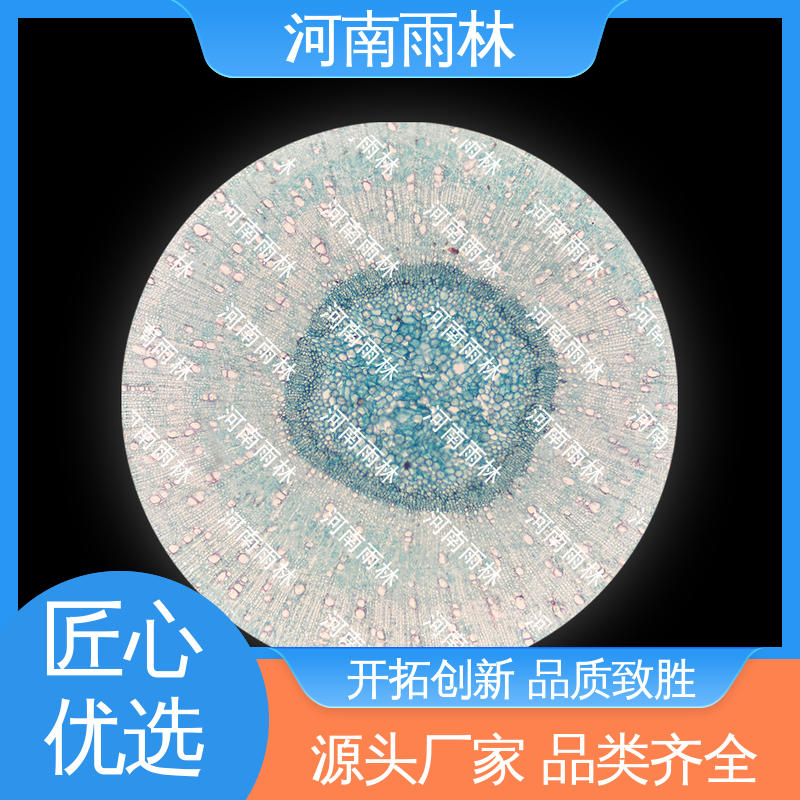 雨林 一对一质检 教学切片 可后期加工 个性化定做