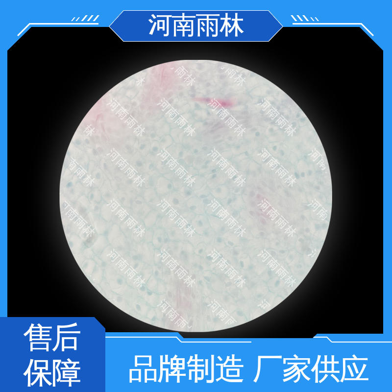 切片安全 支持定制 病害标本 质量优 雨林教育工程
