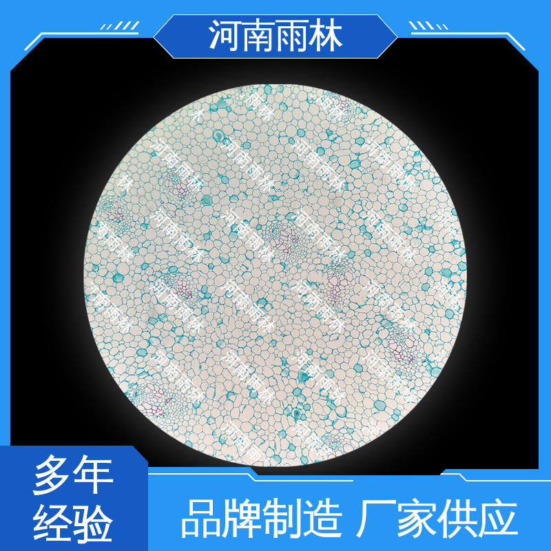 雨林 一对一质检 源头工厂 显微标本 可提供材料