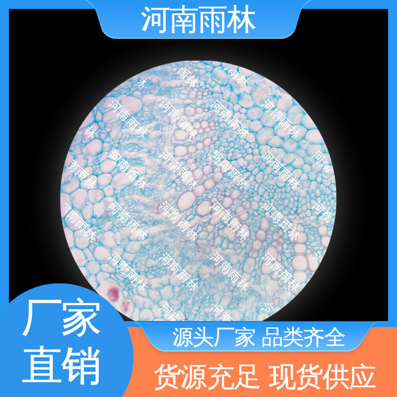 雨林教育工程 可后期加工 质量保障 支持定制 各类标本