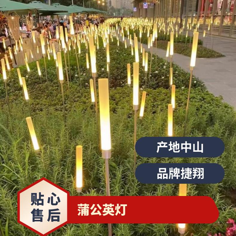 太阳能芦苇灯插灯地蒲公英户外蒲苇装饰灯光纤烟花公园别墅景观灯