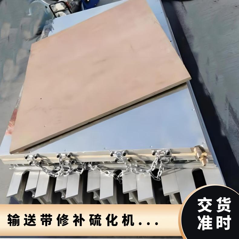 型号DGLJ输送带修补硫化机配件加热板水压板