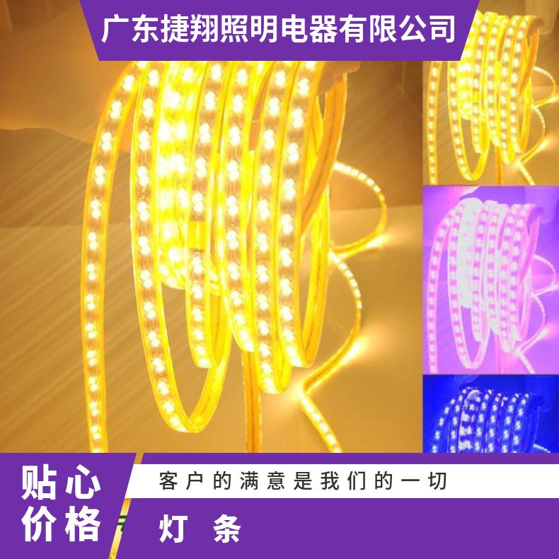 庭院灯带led灯条客厅家用超亮三色线灯220v白光长条变色光带条