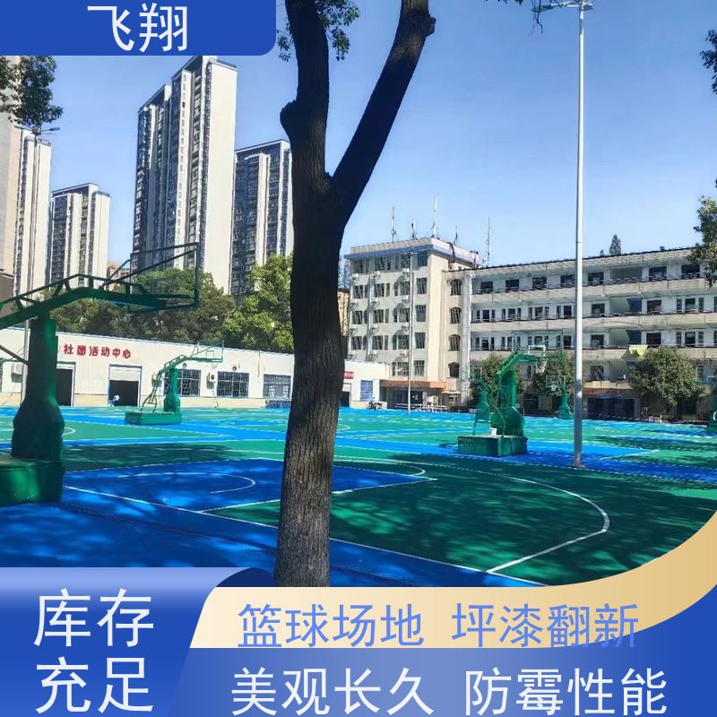 飞翔 学校篮球场地坪漆 美观长久 防霉性能好 应用广泛