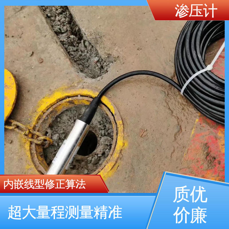地基基础 硅压阻式渗压计 岩体内部渗透水压 自动化实时监测