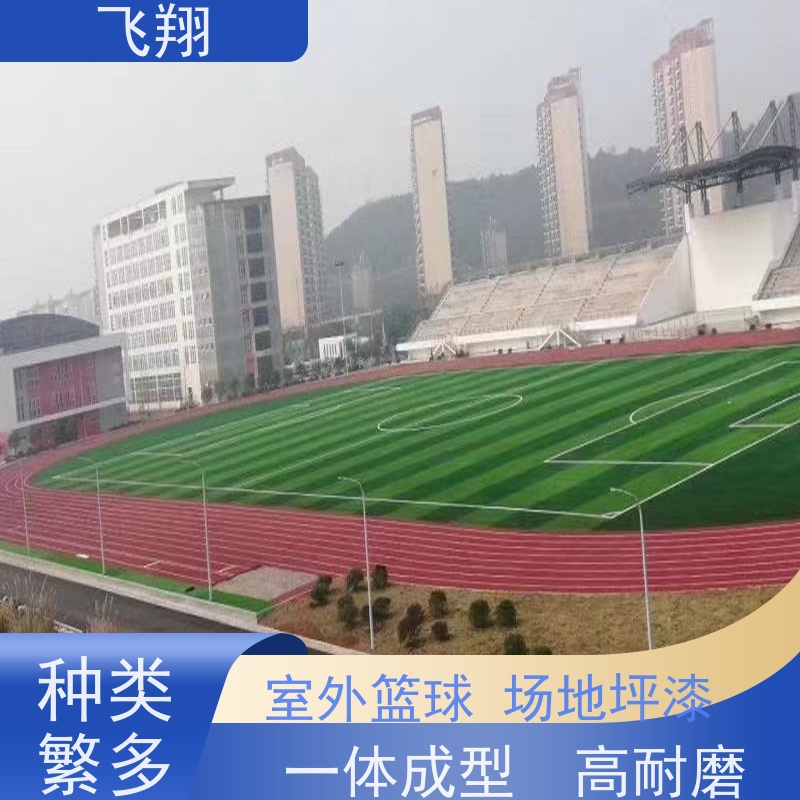 飞翔 篮球场地坪漆材料厂家 美观长久 防霉性能好 供货及时