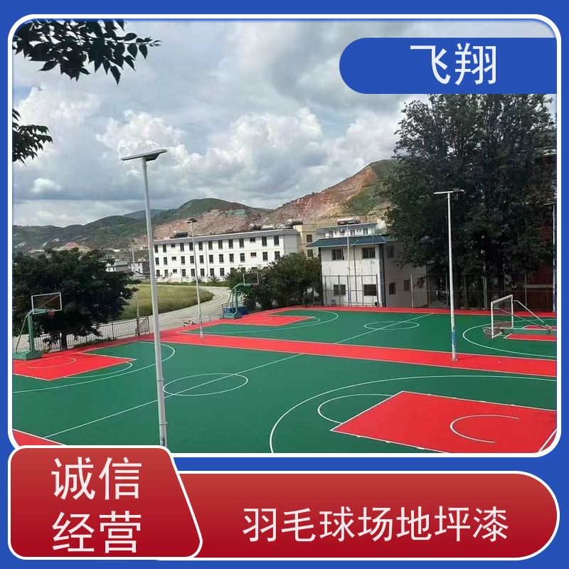 东莞虎门 企石 横沥村委篮球场地坪漆 防滑防磨 抗冲击性能 应用广泛