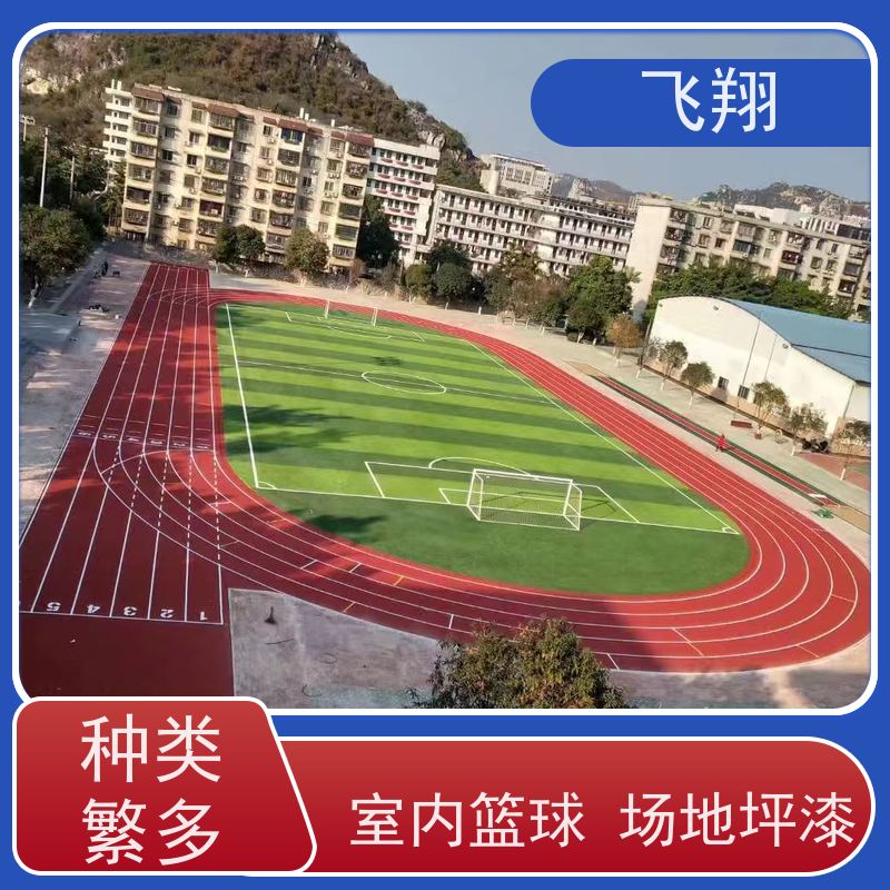 惠州惠东县 梁化 稔山 铁涌村委篮球场地坪漆 防腐 耐磨 防滑 适用广泛