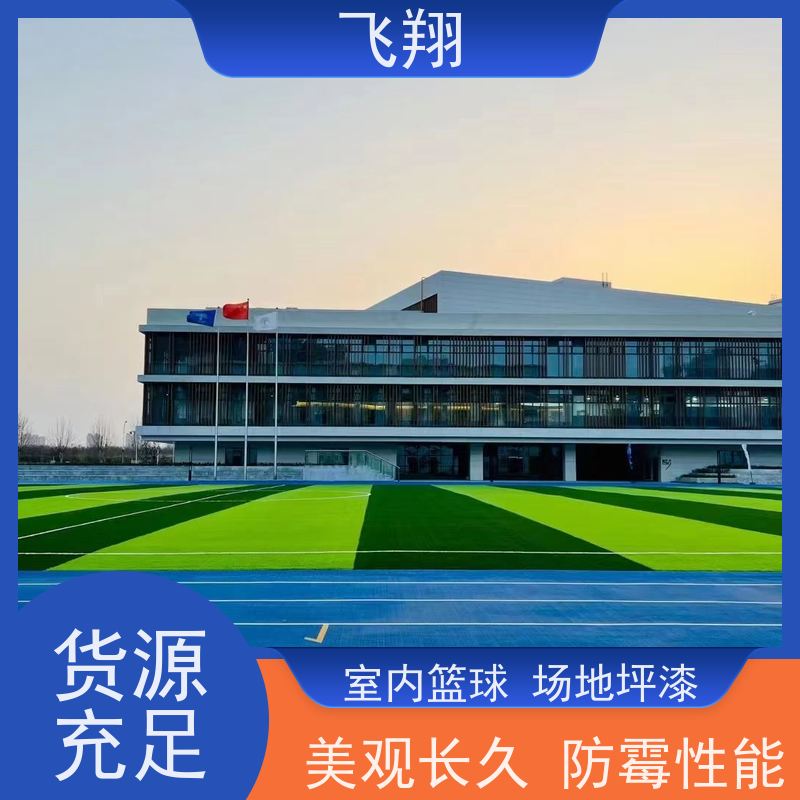 飞翔 学校篮球场跑道地坪漆 耐用防滑防磨 抗冲击性能 诚信经营