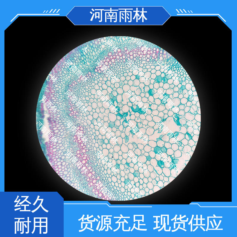 显微切片 细胞清晰 可提供材料 厂家销售 雨林教育工程