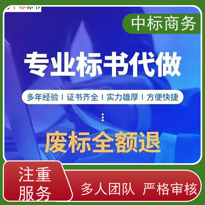 中标商务 四 川 标书制作代写 优秀的排版设计 为客户量身定制