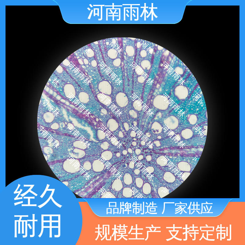 一对一质检 实验切片 可提供材料 雨林教育工程