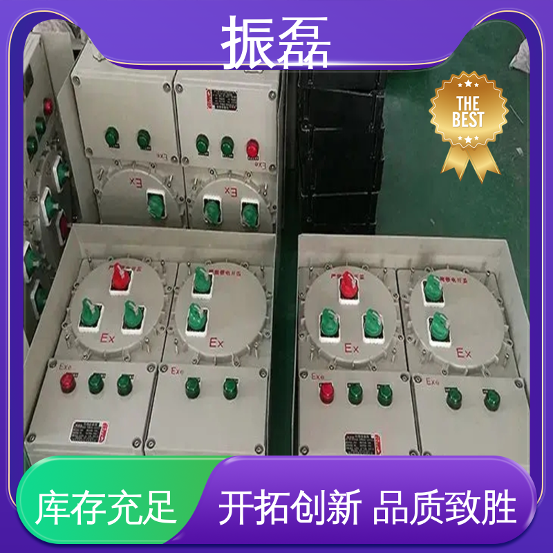 振磊 生产厂家 BXM(D)8050 bxm防爆照明动力配电箱 专用堵头