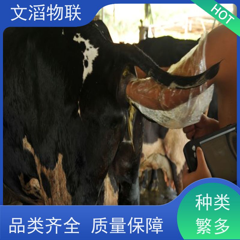 文滔物联 高新科技 畜牧饲喂监控系统 源头工厂 有保障 