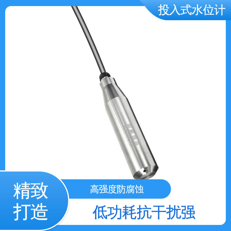 液面变化 硅压阻式水位计 堤防水工建筑物 自动化实时监测