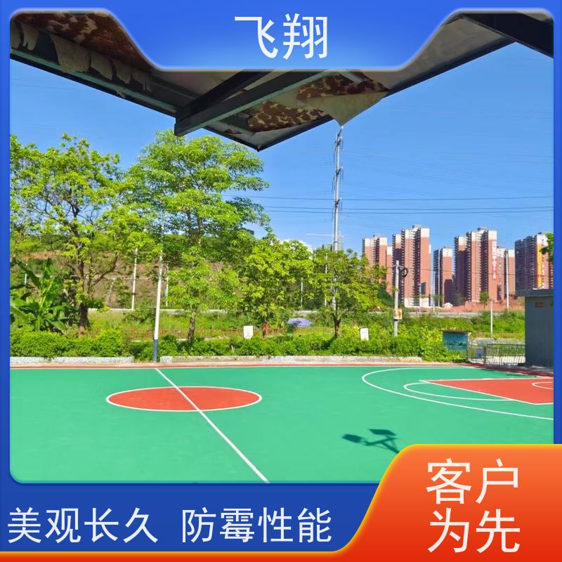 飞翔 室外篮球场地坪漆 结实耐用 大型场所地面 应用广泛