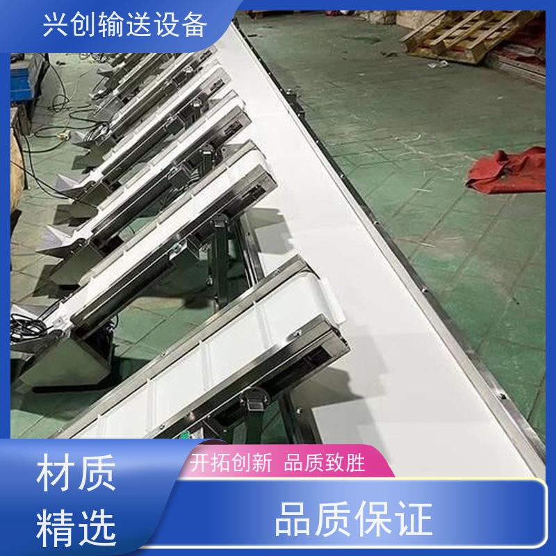兴创 量身定制工厂车间规划 输送带 抗压耐磨适应性强 使用时间长