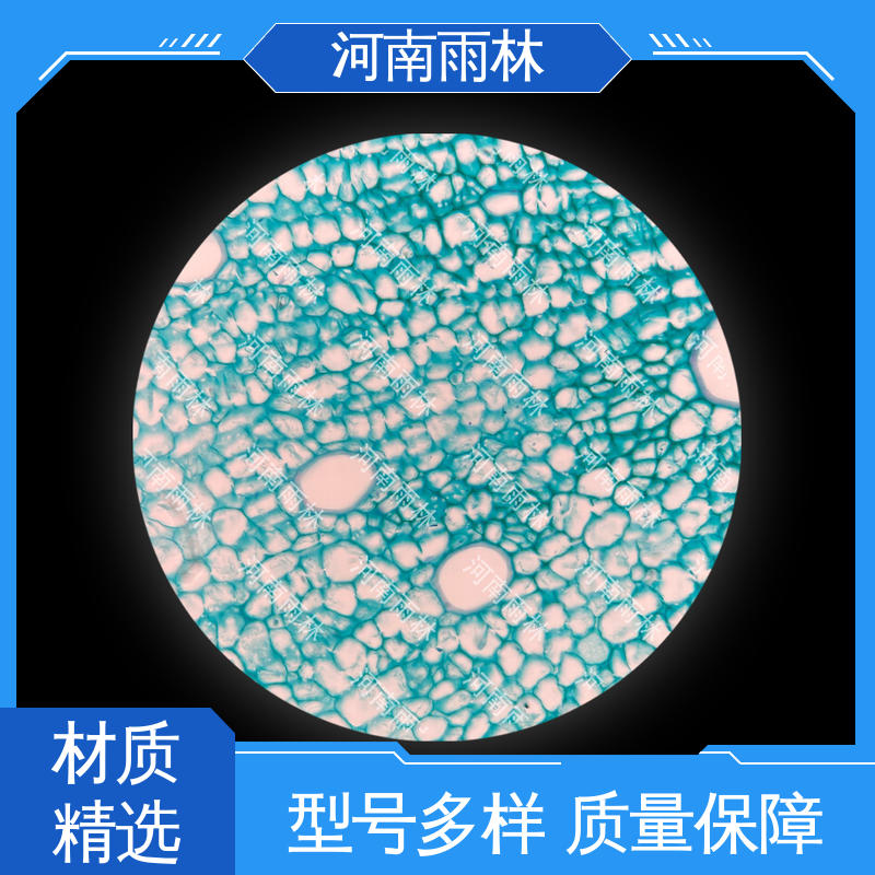 雨林教育 性价比高 个性化定做 教学切片 一对一质检