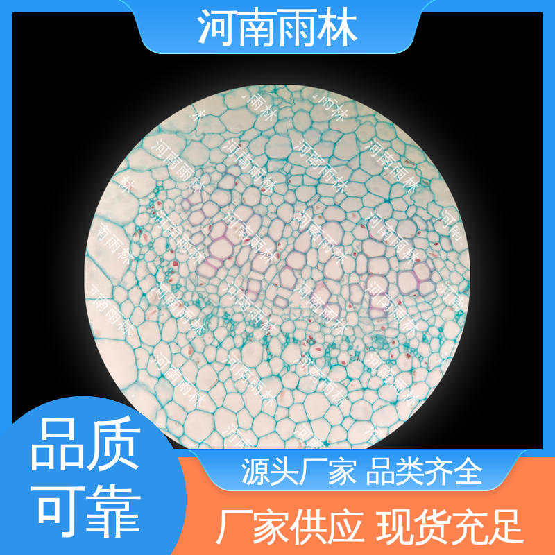 可提供材料 厂家销售 品质优良 教学切片 雨林教育