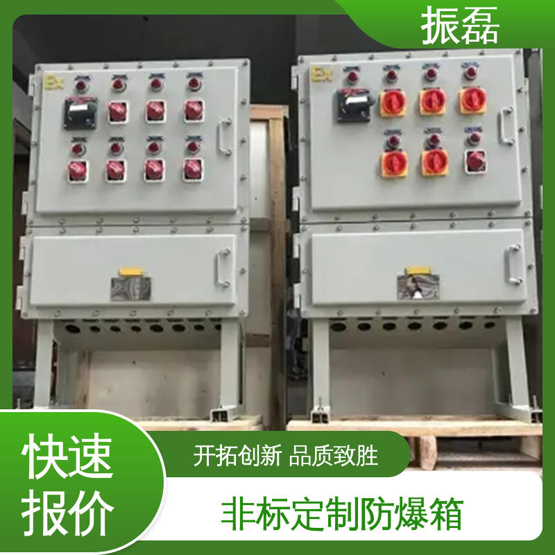 振磊 KAKY矿用控制柜IP54 户内户外 BXM(D)8050 防爆配电箱
