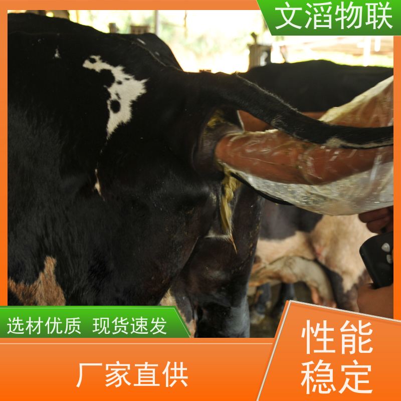 文滔物联 智能化 养殖饲喂监控系统 好品质 服务好 