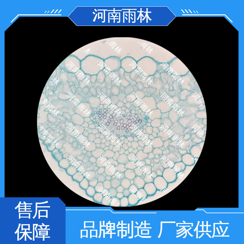 源头工厂 质量保障 病害标本 售后无忧 雨林教育工程