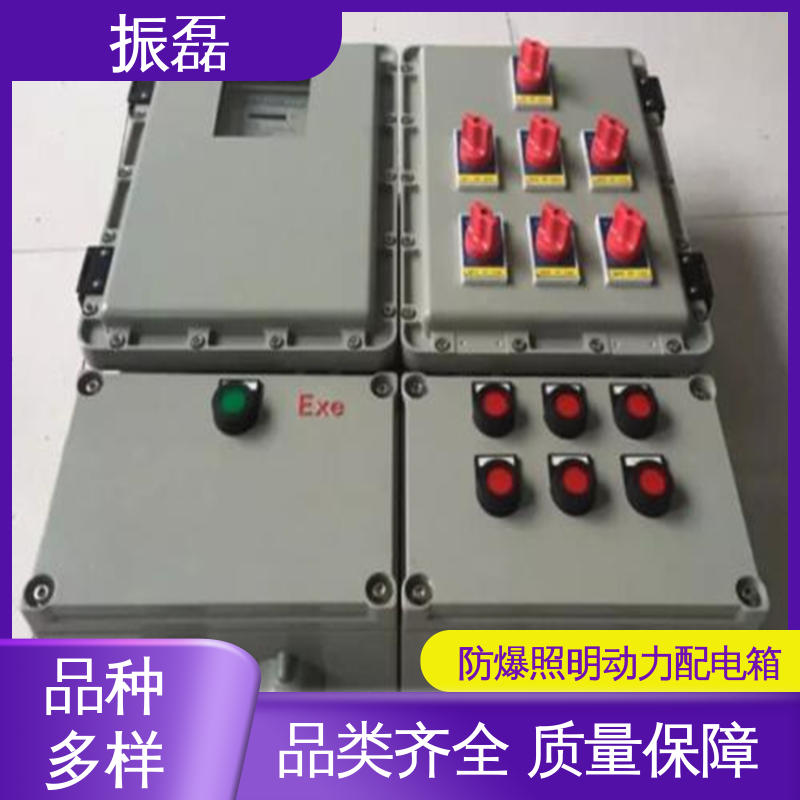振磊 工地 bxm防爆照明动力配电箱 户内户外 KAKY矿用控制柜IP54