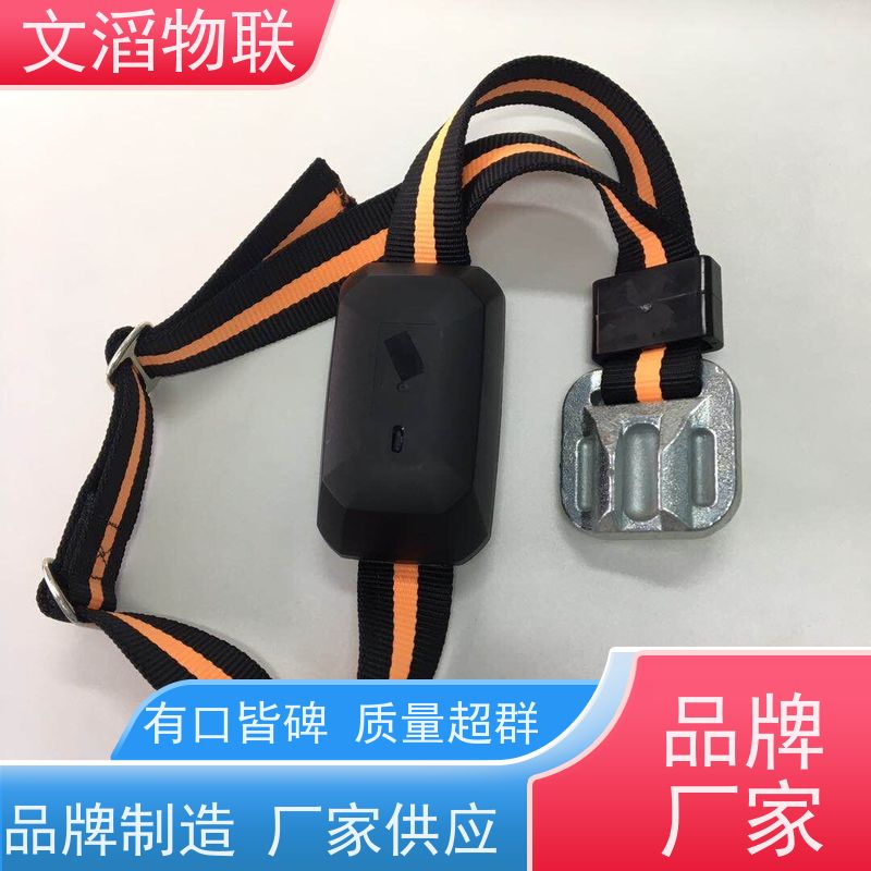 文滔物联 牛B超 GPS定位发情监测计步器 源头厂家 