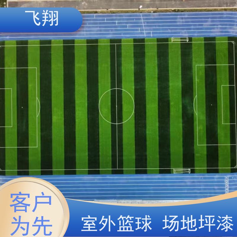 飞翔 学校篮球场跑道地坪漆 美观长久 防霉性能好 长期供应