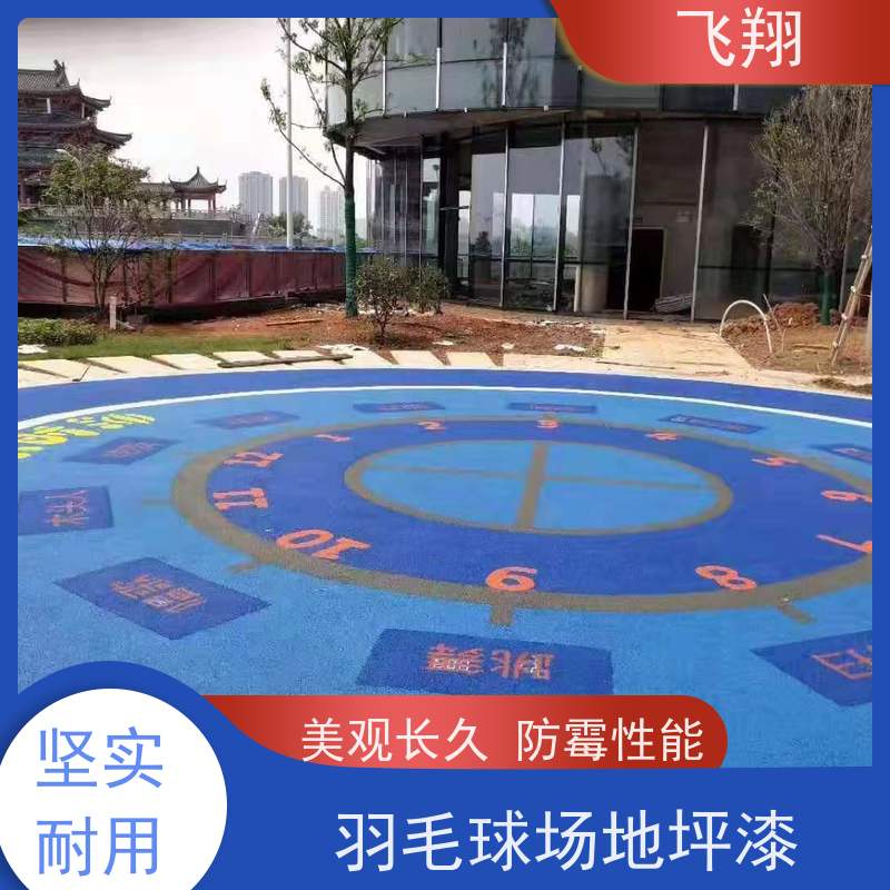 飞翔 村委篮球场地坪漆 美观长久 防霉性能好 货源充足