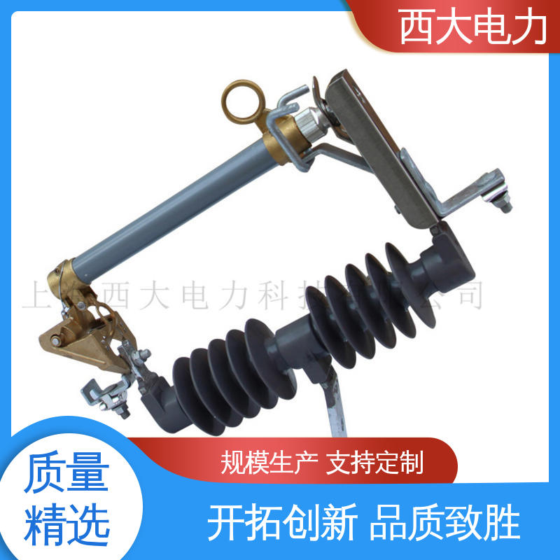 RW11-12 安全稳定 支持定制 户外防风型跌落式熔断器 西大电力