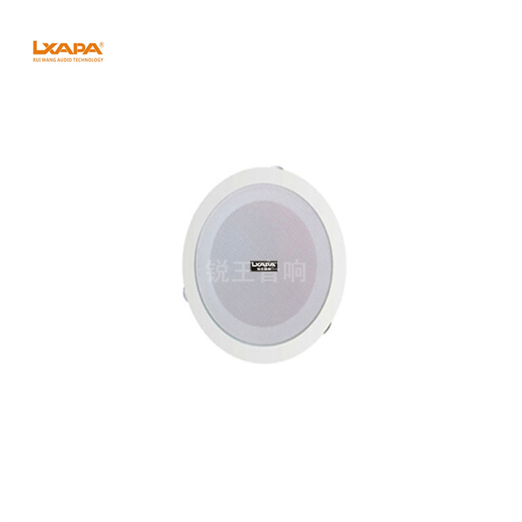 锐王LXAPA 吊顶喇叭 壁挂定压广播 店铺餐厅同轴吊球音响