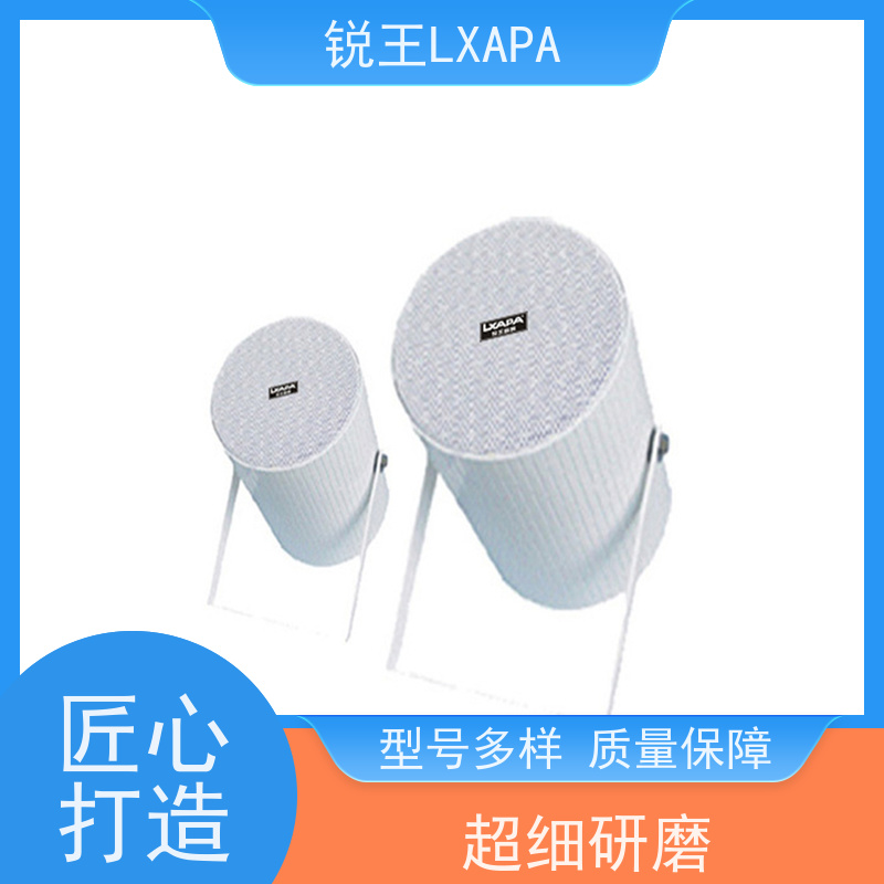 锐王LXAPA 小区公共广播系统设备 吊装壁装背景音乐喇叭 壁挂音箱
