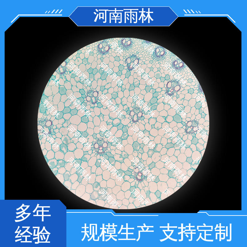 雨林教育工程 实验切片 厂家销售 一对一质检 性价比高