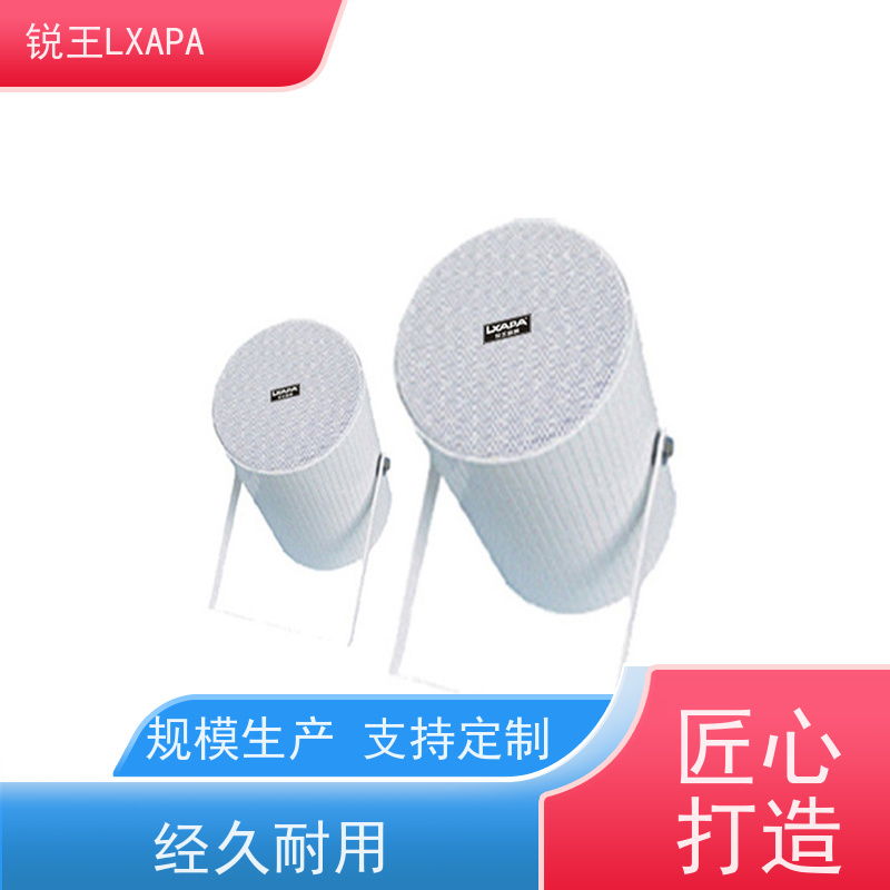锐王LXAPA 天花音响 店铺背景音乐广播系统设备 室外音柱喇叭