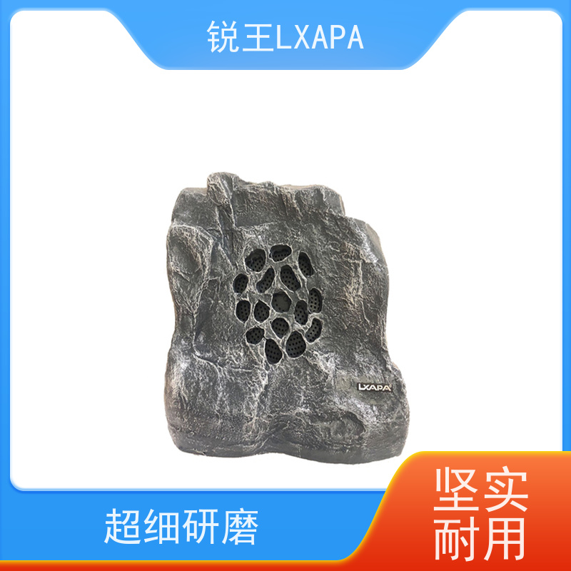 锐王LXAPA 壁挂喇叭 家庭浴室背景音乐系统设备 扬声器