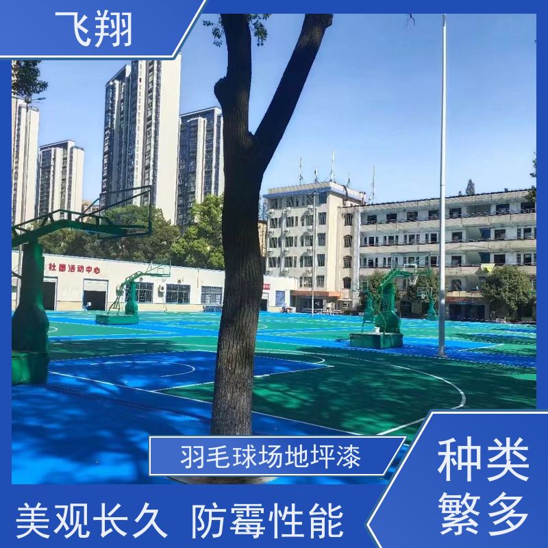飞翔 室外篮球场地坪漆 学校运动地面材料施工 库存充足