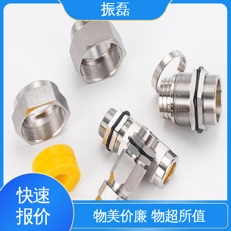 防尘阻燃隔热 防爆格兰头 不锈钢材质IP65 BDM 振磊