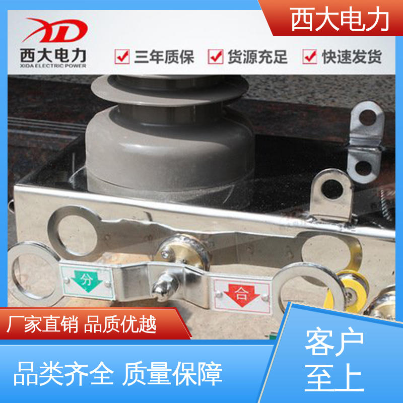 ZW32-24F 支持根据图纸定做 户外柱上真空断路器 西大电力