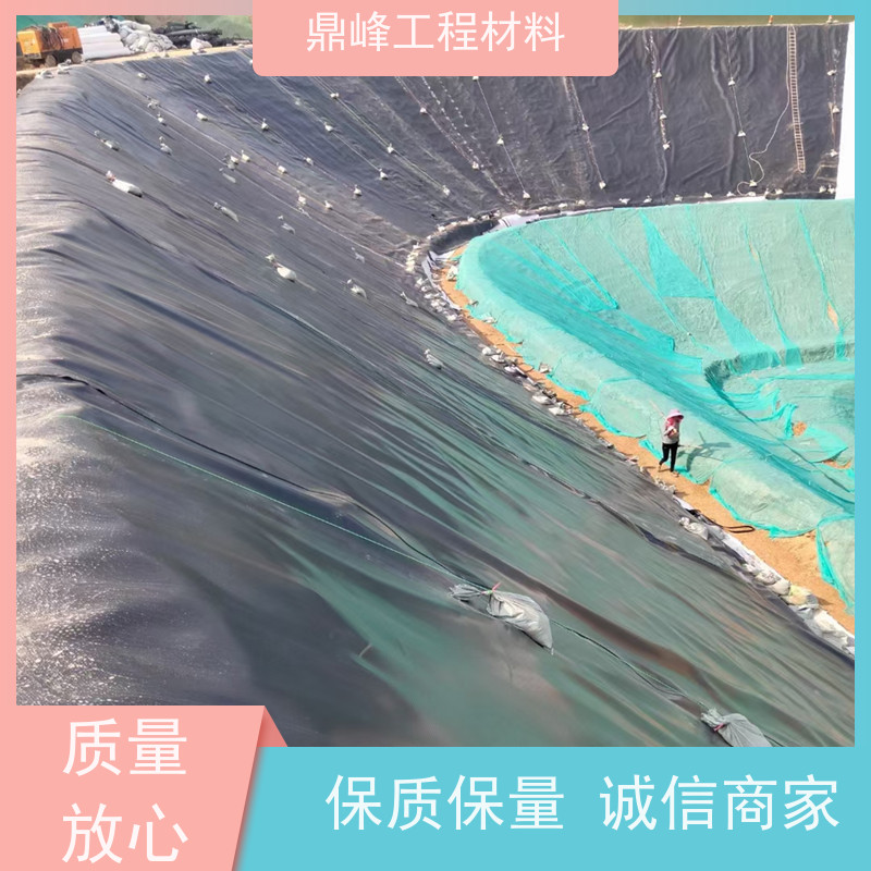 鼎峰 1.0mm防渗膜 耐寒性好 防止水土流失保护生态