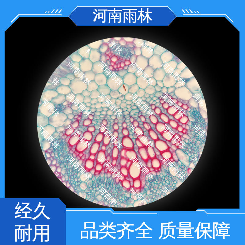 雨林教育 一对一质检 生物切片 售后无忧 个性化定做
