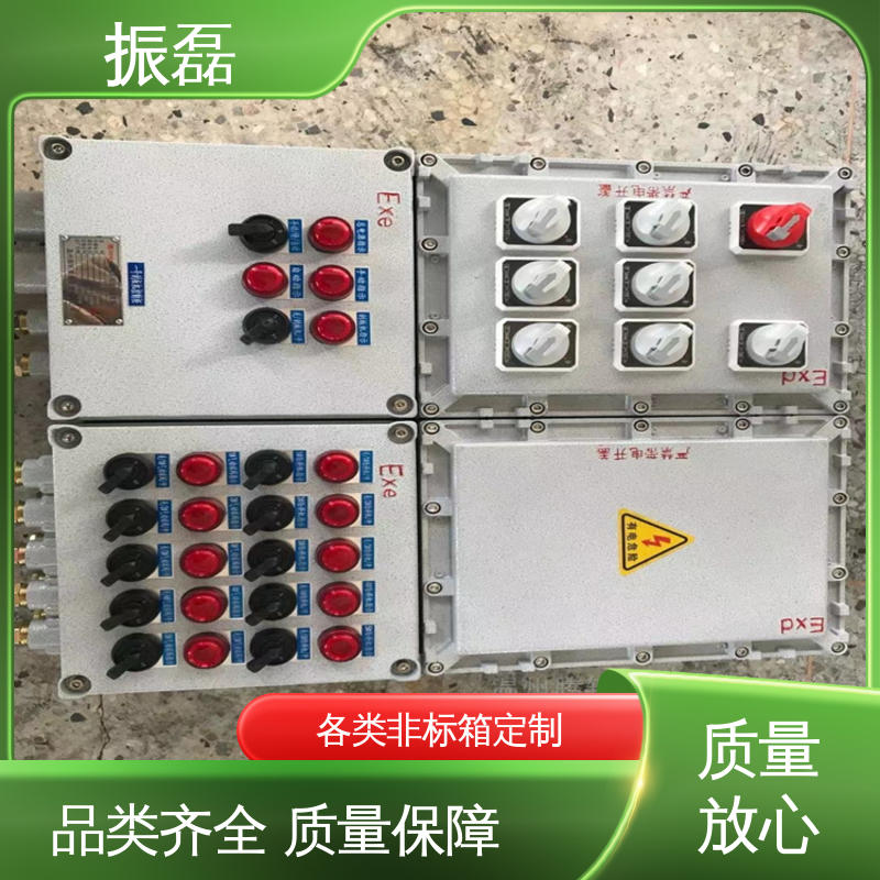 户内户外 IP66 IIBT6级 化工厂 加油站 防爆配电箱 振磊