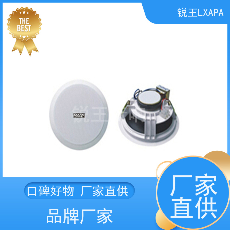 锐王LXAPA 天花扬声器 背景音乐扩声系统设备 教室壁挂喇叭