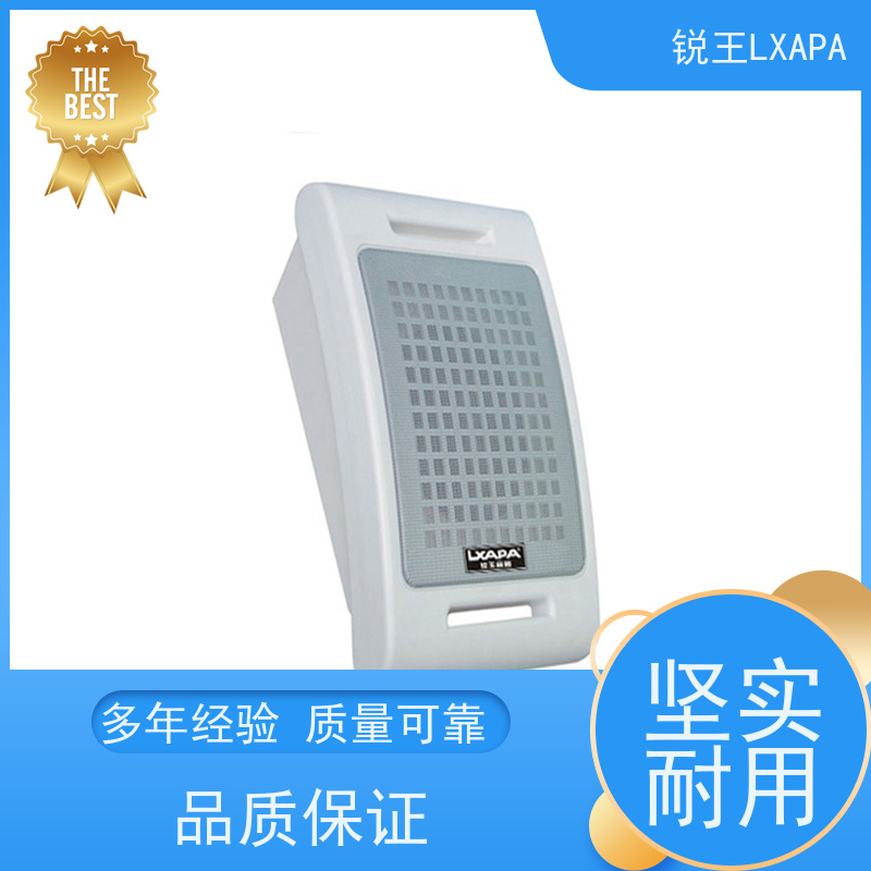 锐王LXAPA 定压壁挂音箱 商场背景音乐系统 吸顶音响喇叭