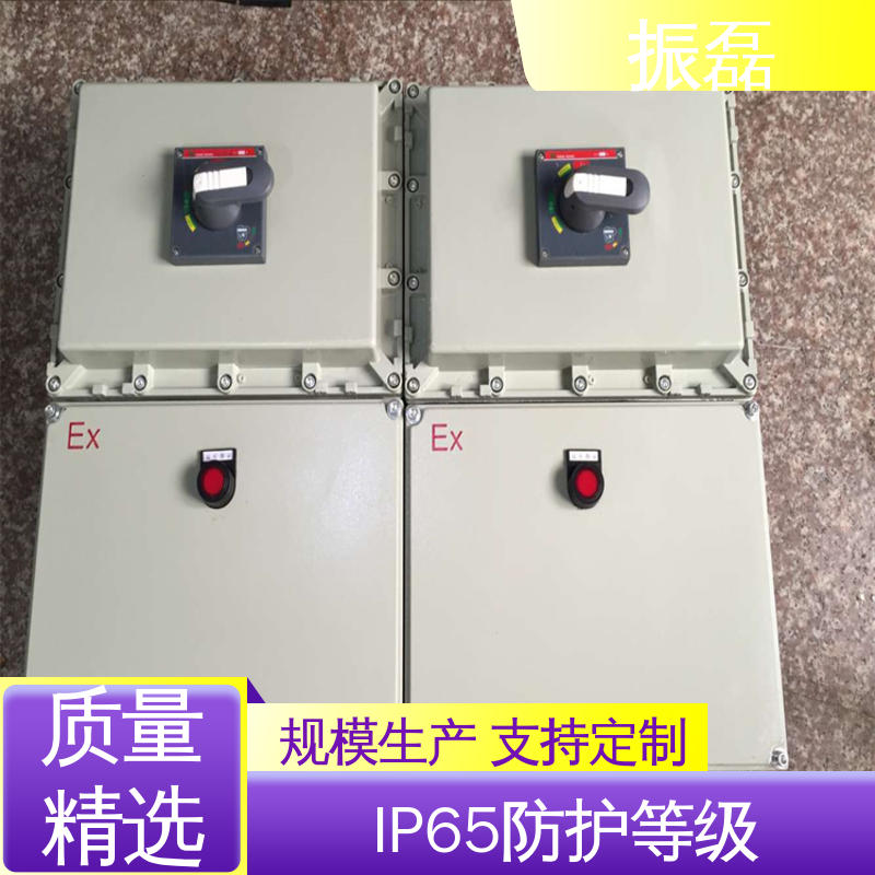 专用堵头 化工厂 加油站 无火花检修插座箱 防爆配电箱 振磊