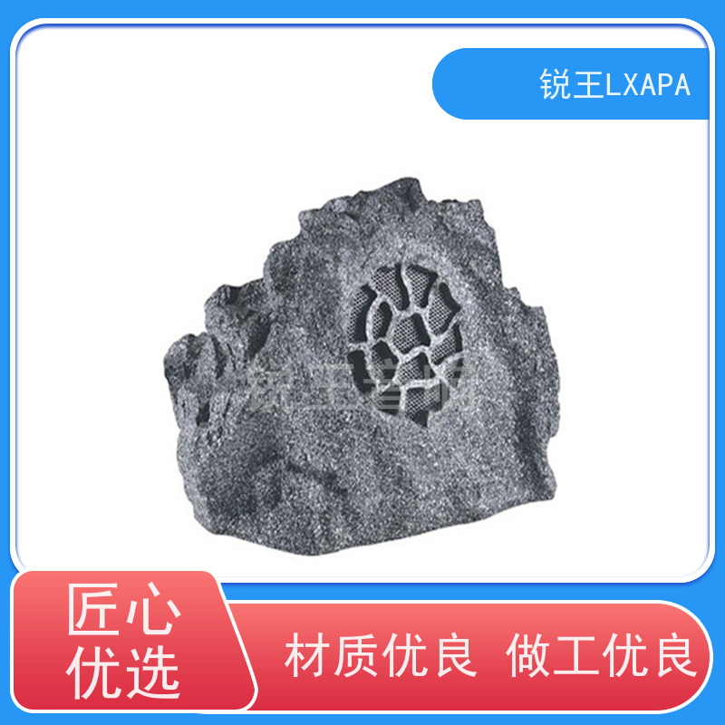 锐王LXAPA 背景音乐广播系统 草坪音箱 吸顶家庭音响
