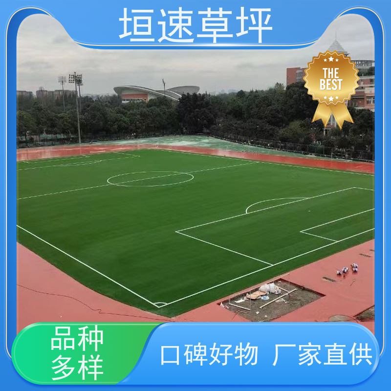 垣速 足球场地面材质 塑料草坪仿真 网球场草坪回弹率好 仿真塑料草坪