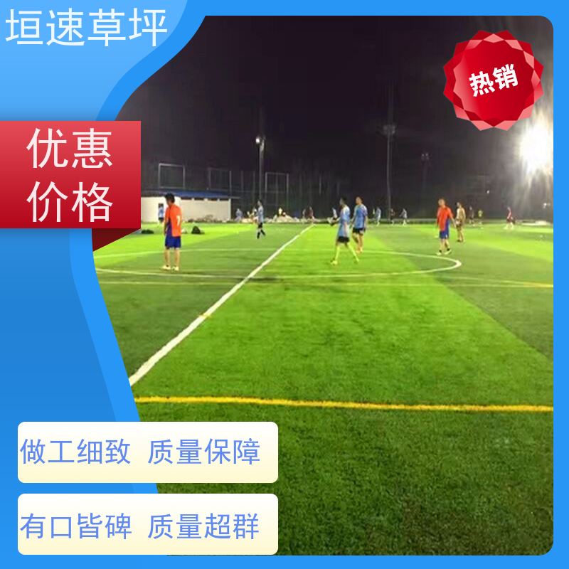 垣速 仿真塑料草坪 门球场地设施 景观仿真草坪 门球场仿真草环保耐磨